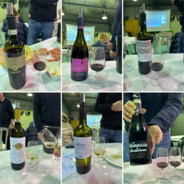 DEGUSTAZIONE DI VINI DELLE MARCHE